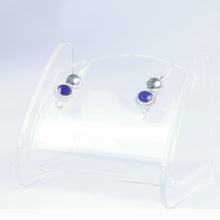 Load image into Gallery viewer, Bactrain Earrings